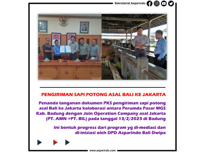 PENGIRIMAN SAPI ASAL BALI KE JAKARTA